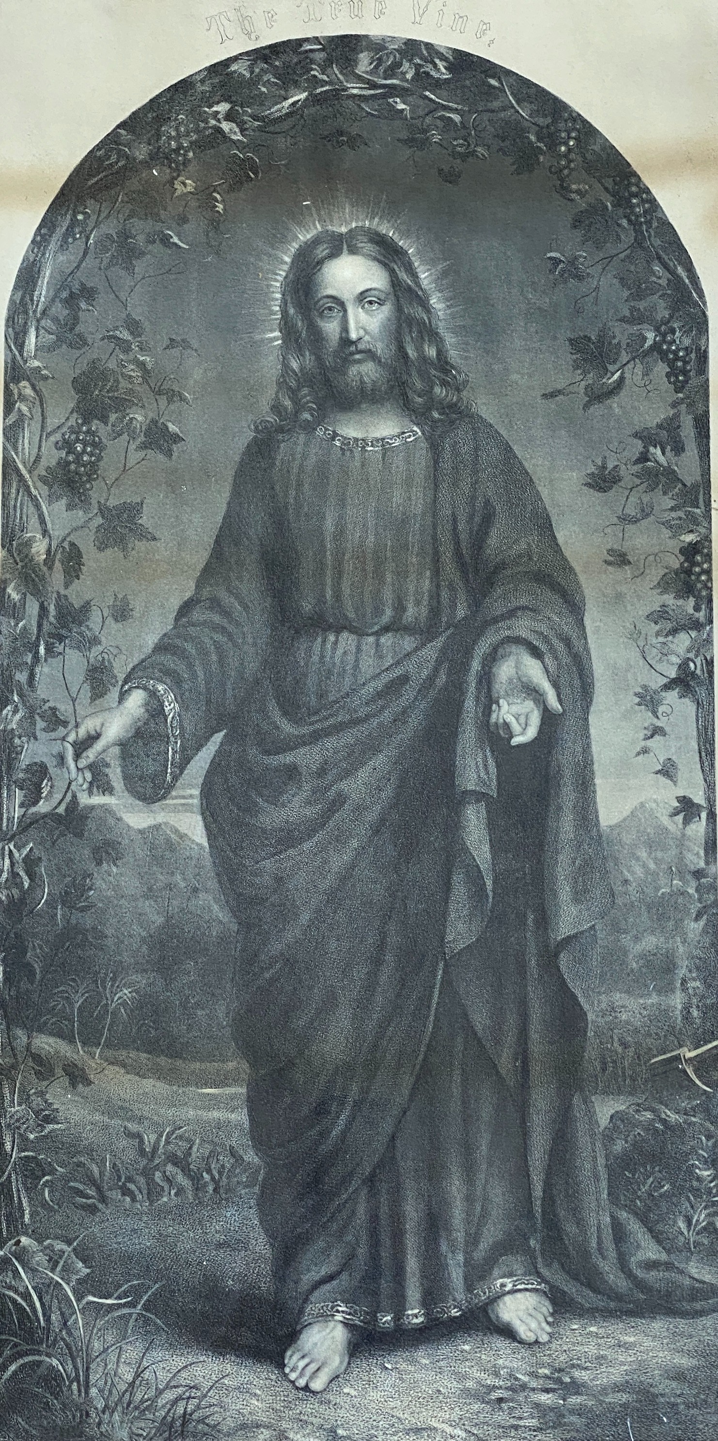 'The True Vine', framed print